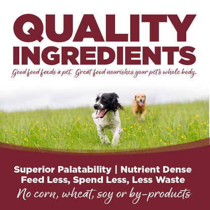 Beef & Rice Dog Wet Food