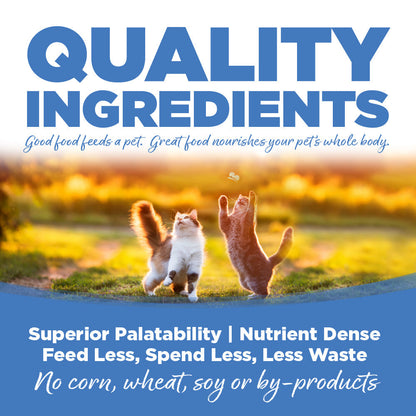 Chicken, Turkey, Lamb & Fish Cat Formula