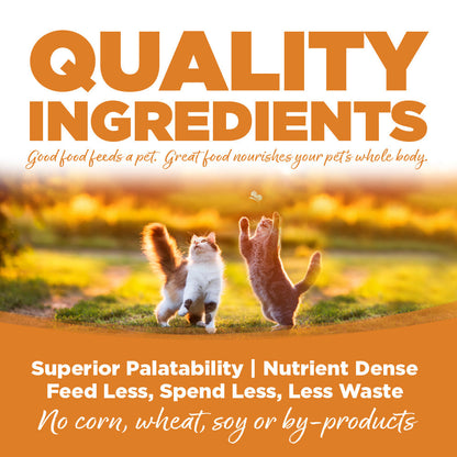Chicken, Turkey & Lamb Cat Formula