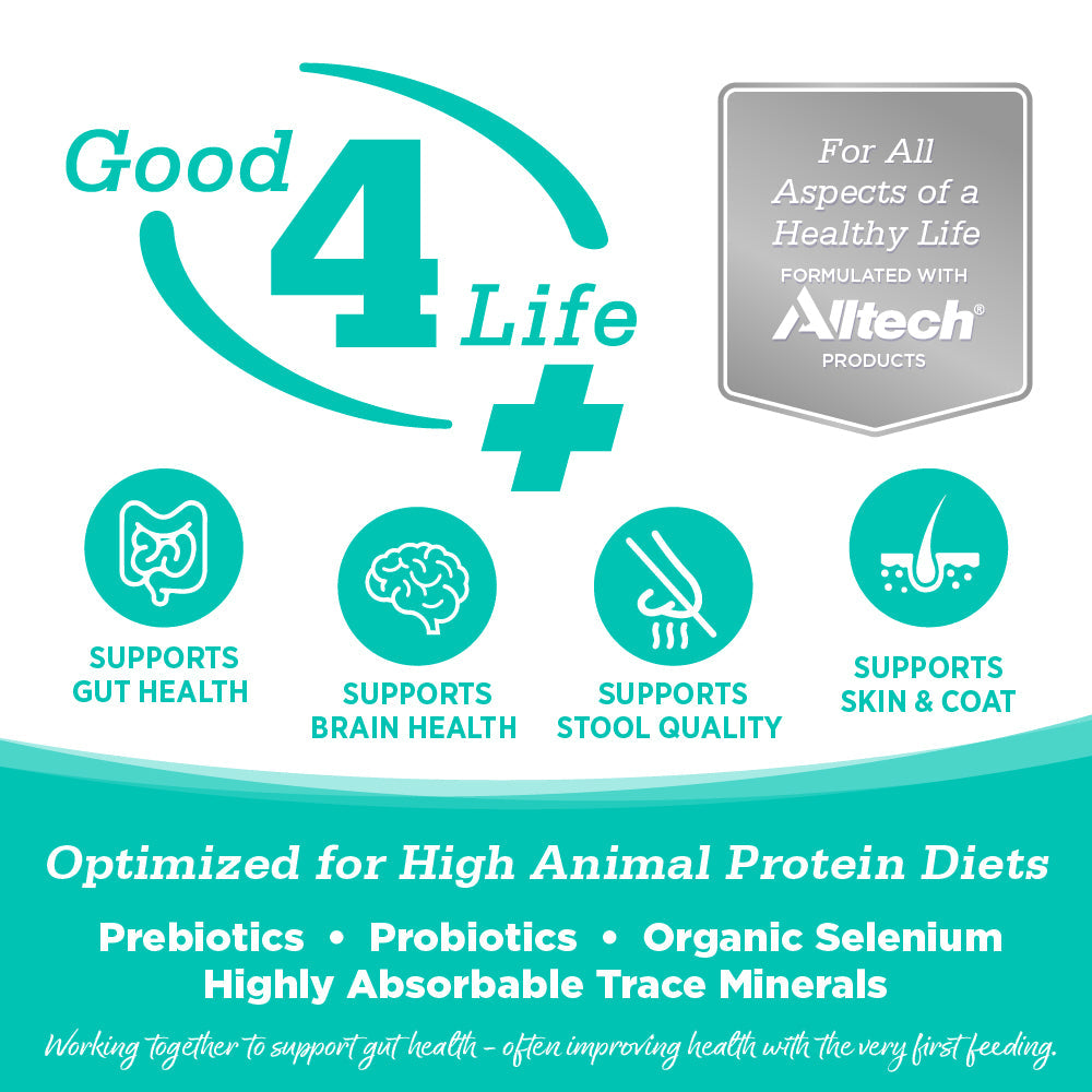 Grain Free Country Select Cat Food
