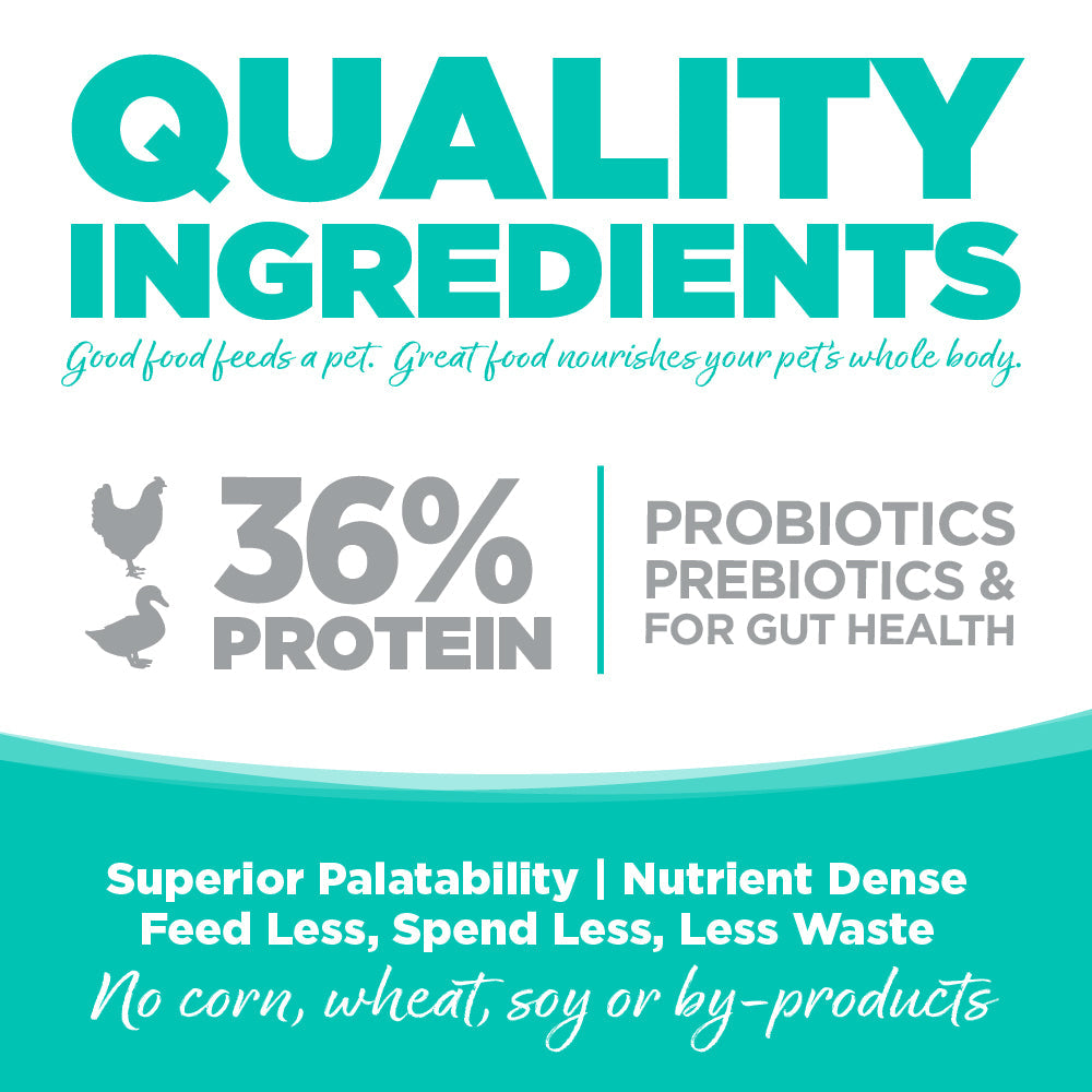 Grain Free Country Select Cat Food