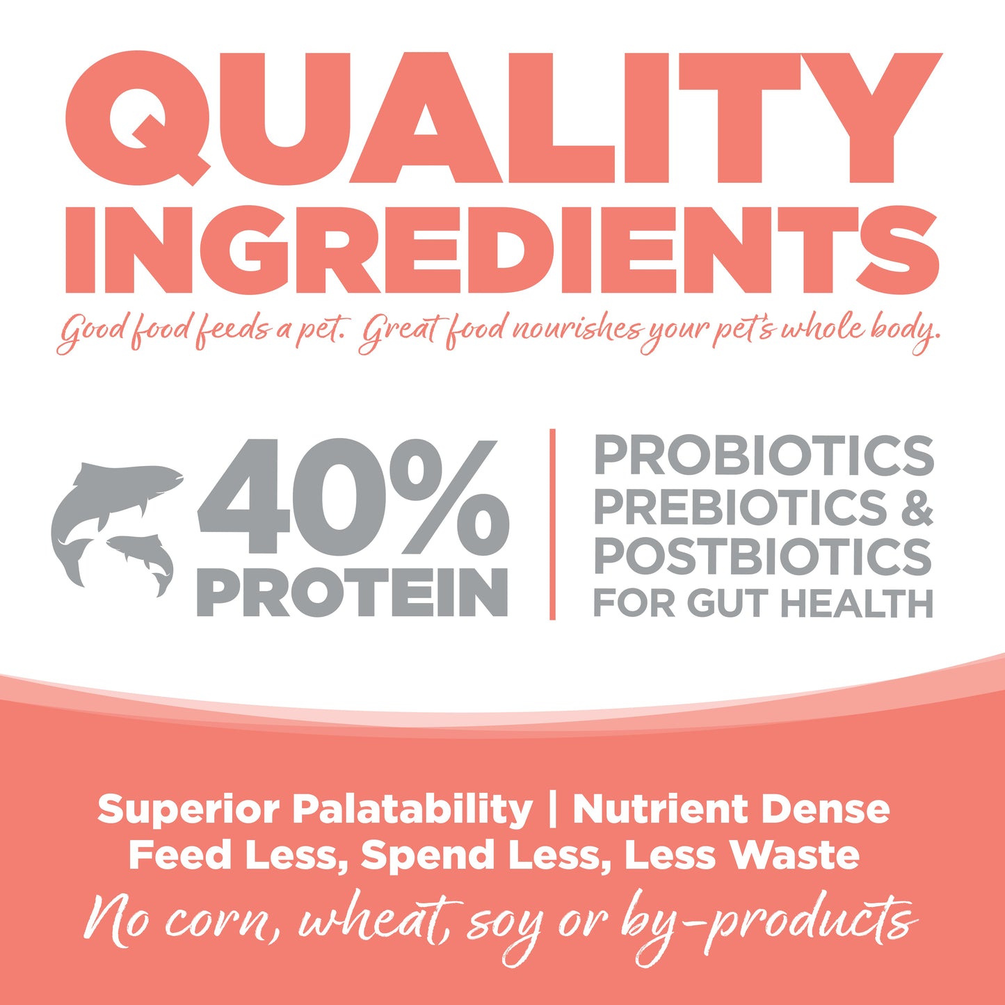 Grain Free Ocean Select Cat Food