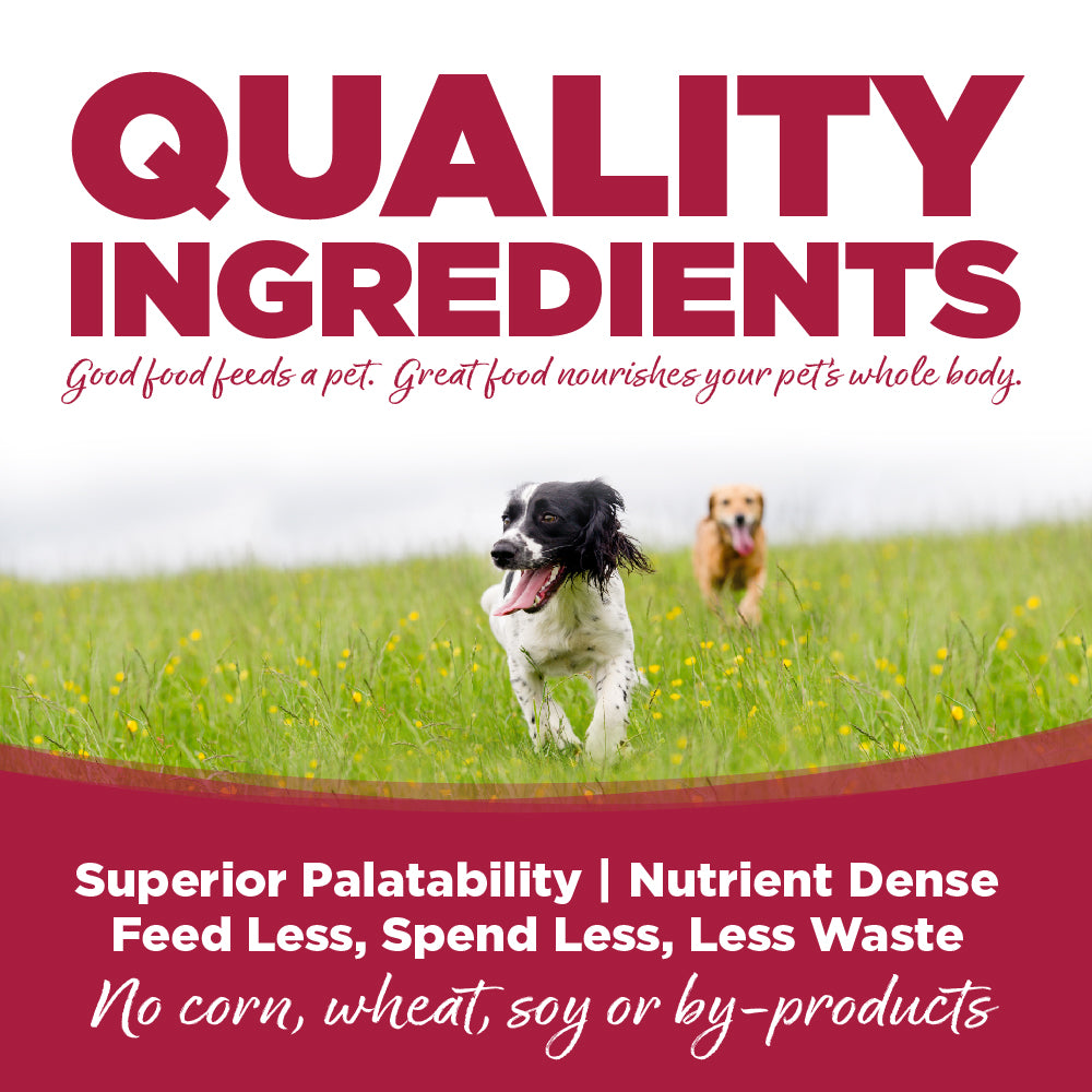 Chicken, Lamb & Ocean Fish Dog Wet Food