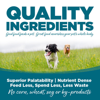 Chicken & Rice Dog Wet Food
