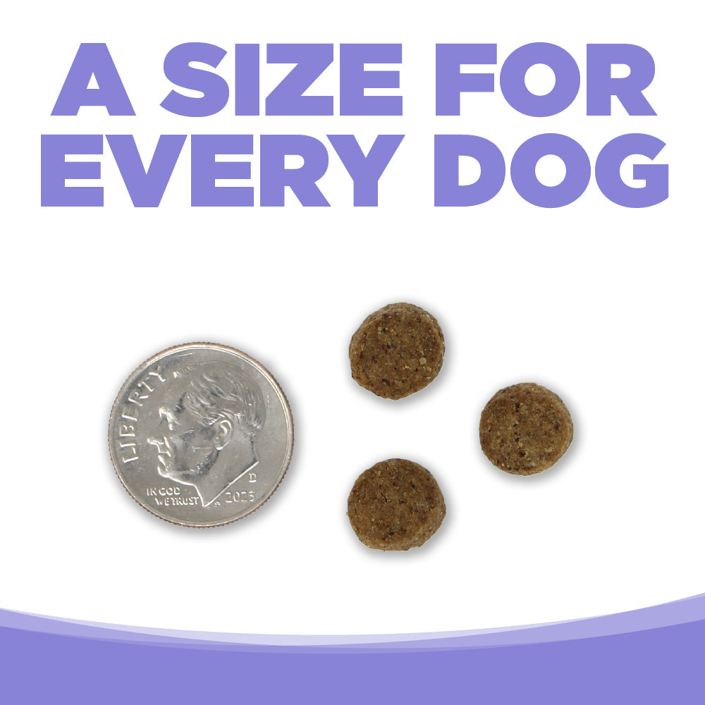 Choice Puppy