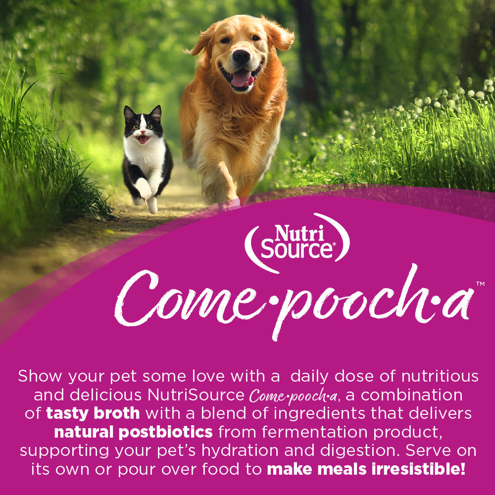 Come-Pooch-a Beef Broth