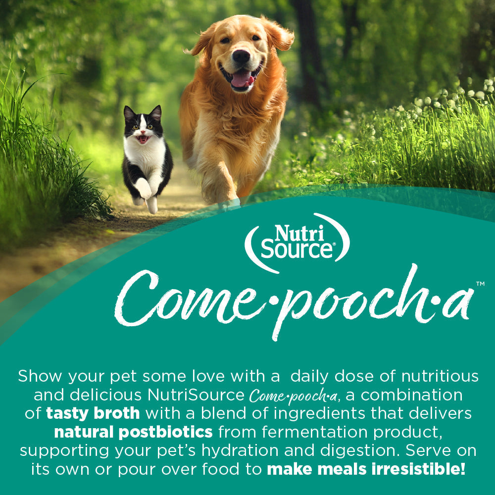 Come -Pooch-A Turkey Broth