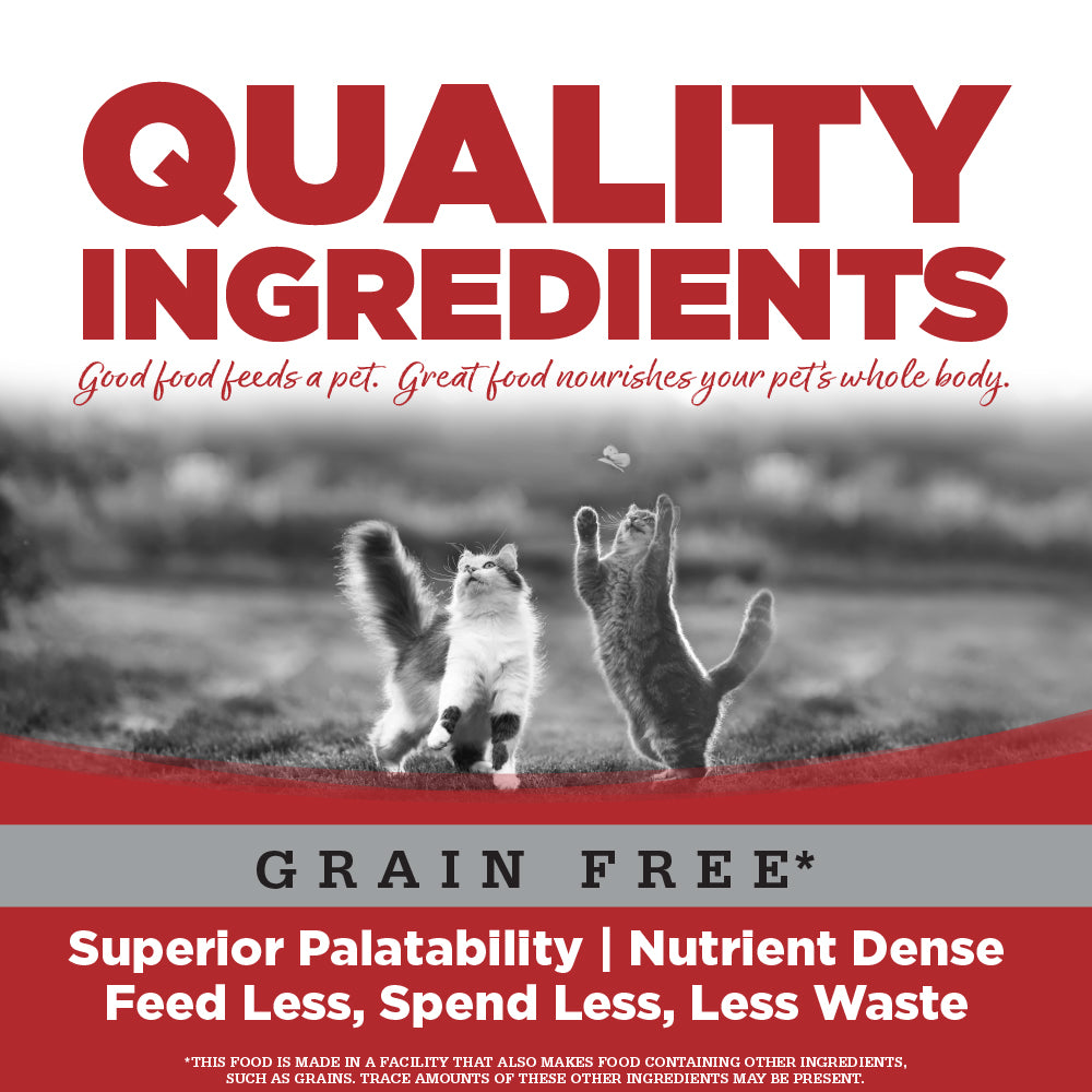 Grain Free Beef Cat Entree