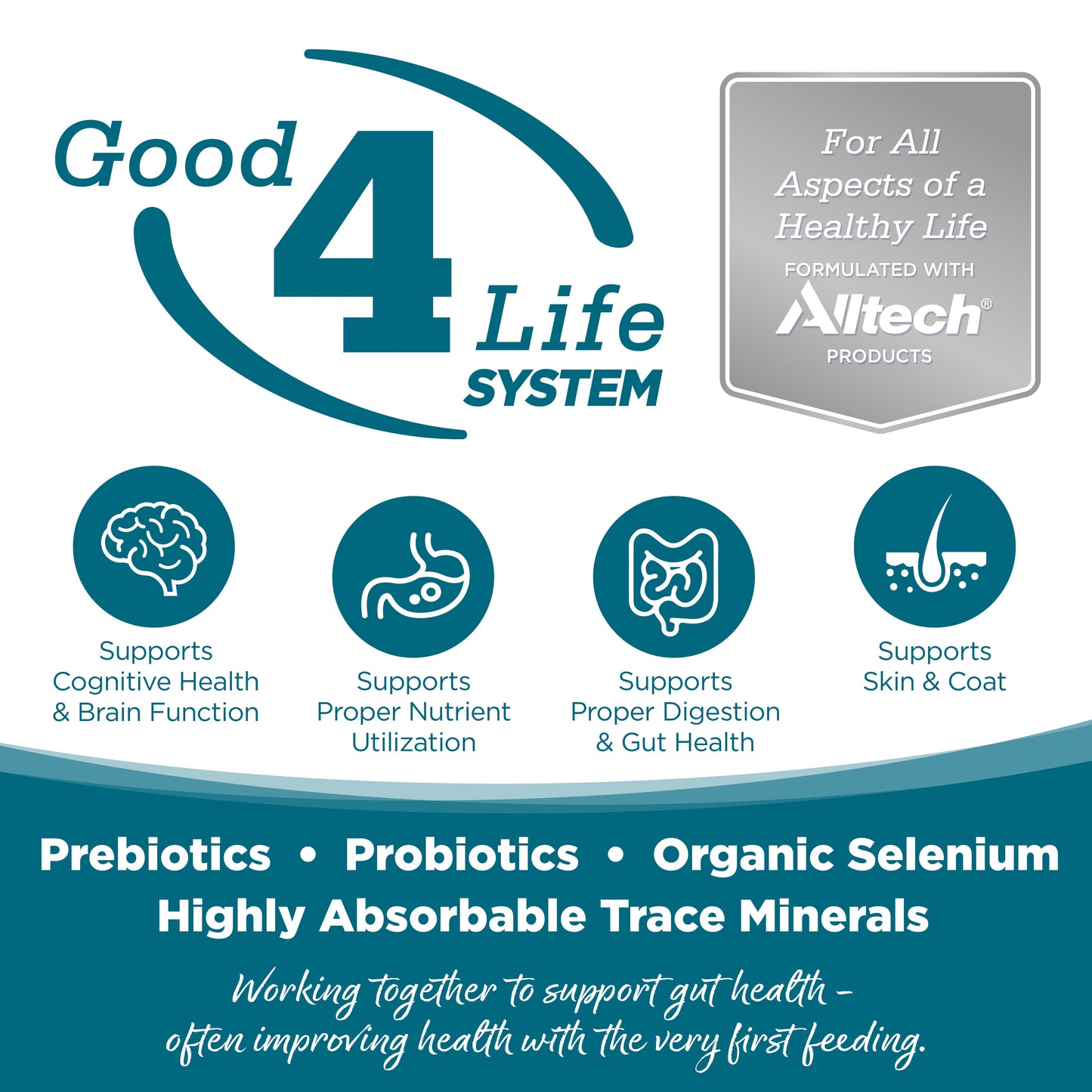 Grain Free Chicken Dog Wet Food