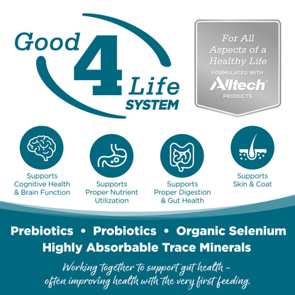 Grain Free Chicken Dog Wet Food