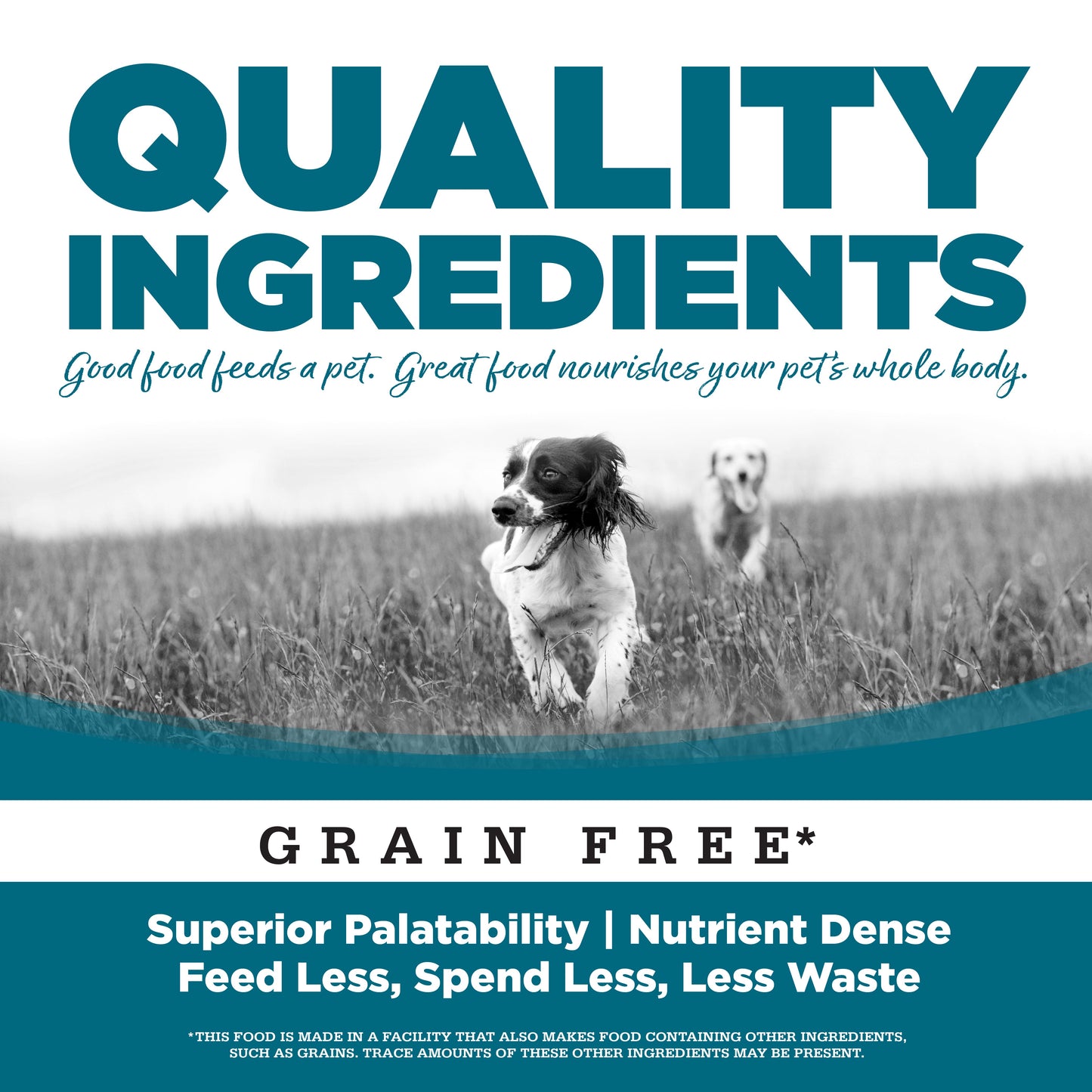 Grain Free Chicken Dog Wet Food