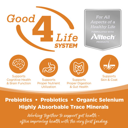 Grain Free Lamb Wet Dog Food