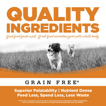 Grain Free Lamb Wet Dog Food