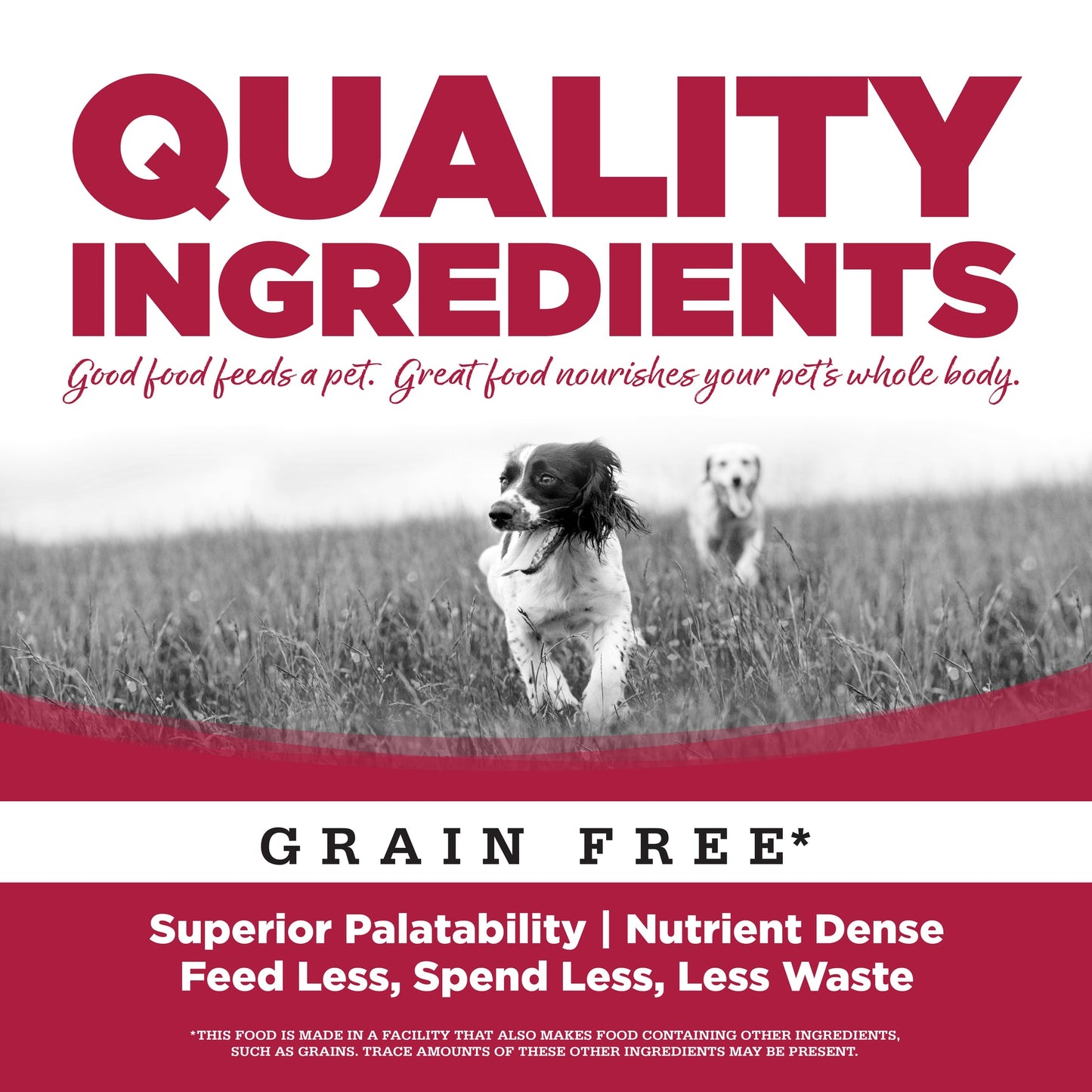 Grain Free Seafood Select Wet Dog Food