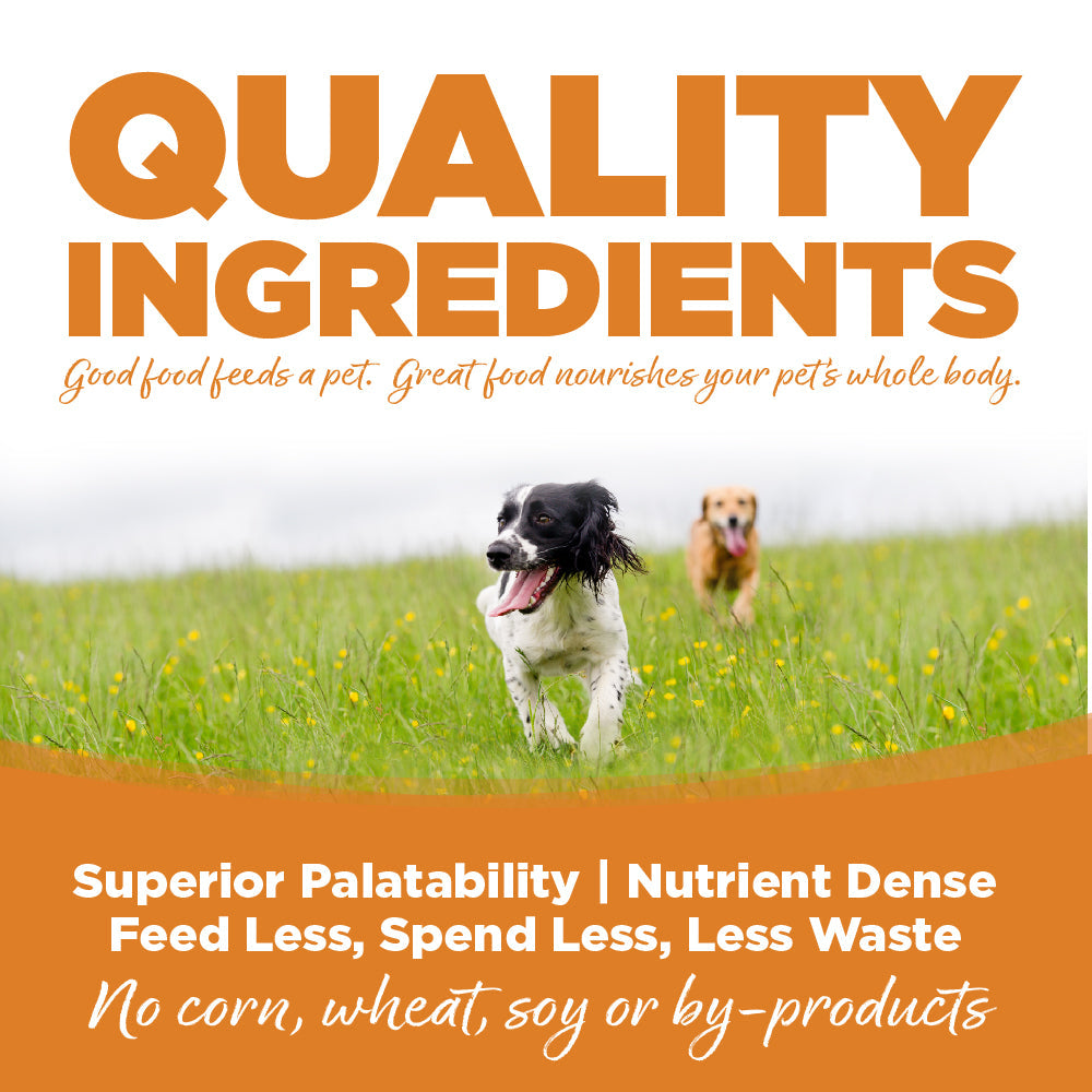 Lamb & Rice Dog Wet Food
