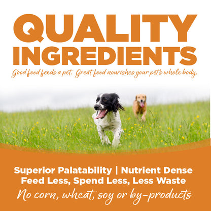 Lamb & Rice Dog Wet Food