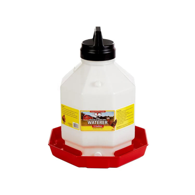 Large Plastic Waterer