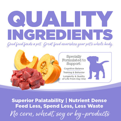 Grain Free Puppy Lamb & Pumpkin Entree