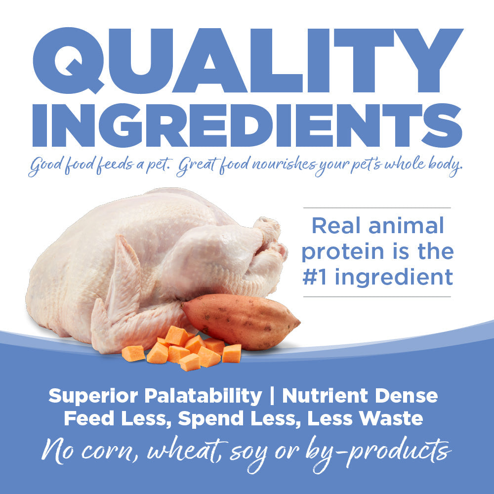 Grain Free Turkey & Sweet Potato