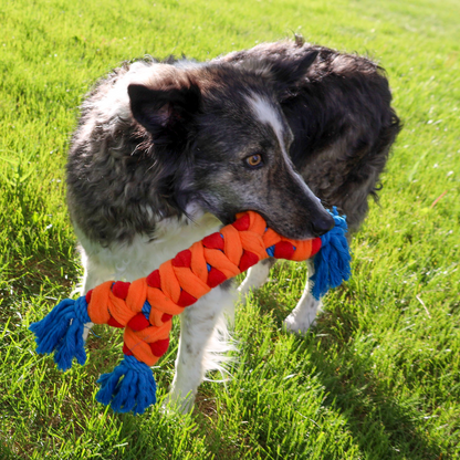 KONG Rope Rally Bone - Medium