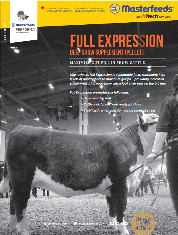 Full Expression Show Cattle - 20kg