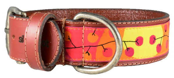 Dog Leather Collar - XLarge 1 1/2" Width