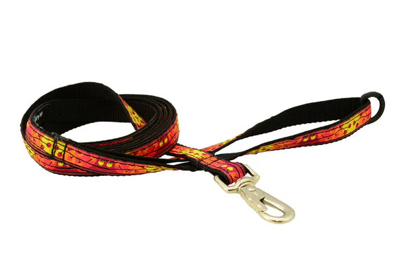 Leash - 5ft - 1/2" Wide