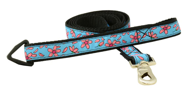 Leash - 6ft - 1" Wide