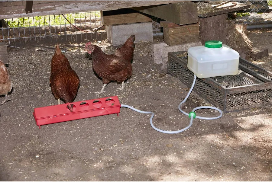 Automatic Trough Waterer Kit