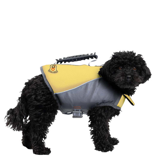 Life Vest
