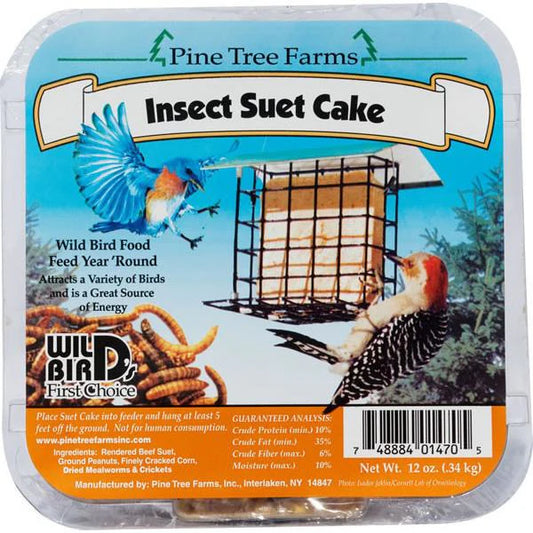 Pine Tree Insect Suet - 340g