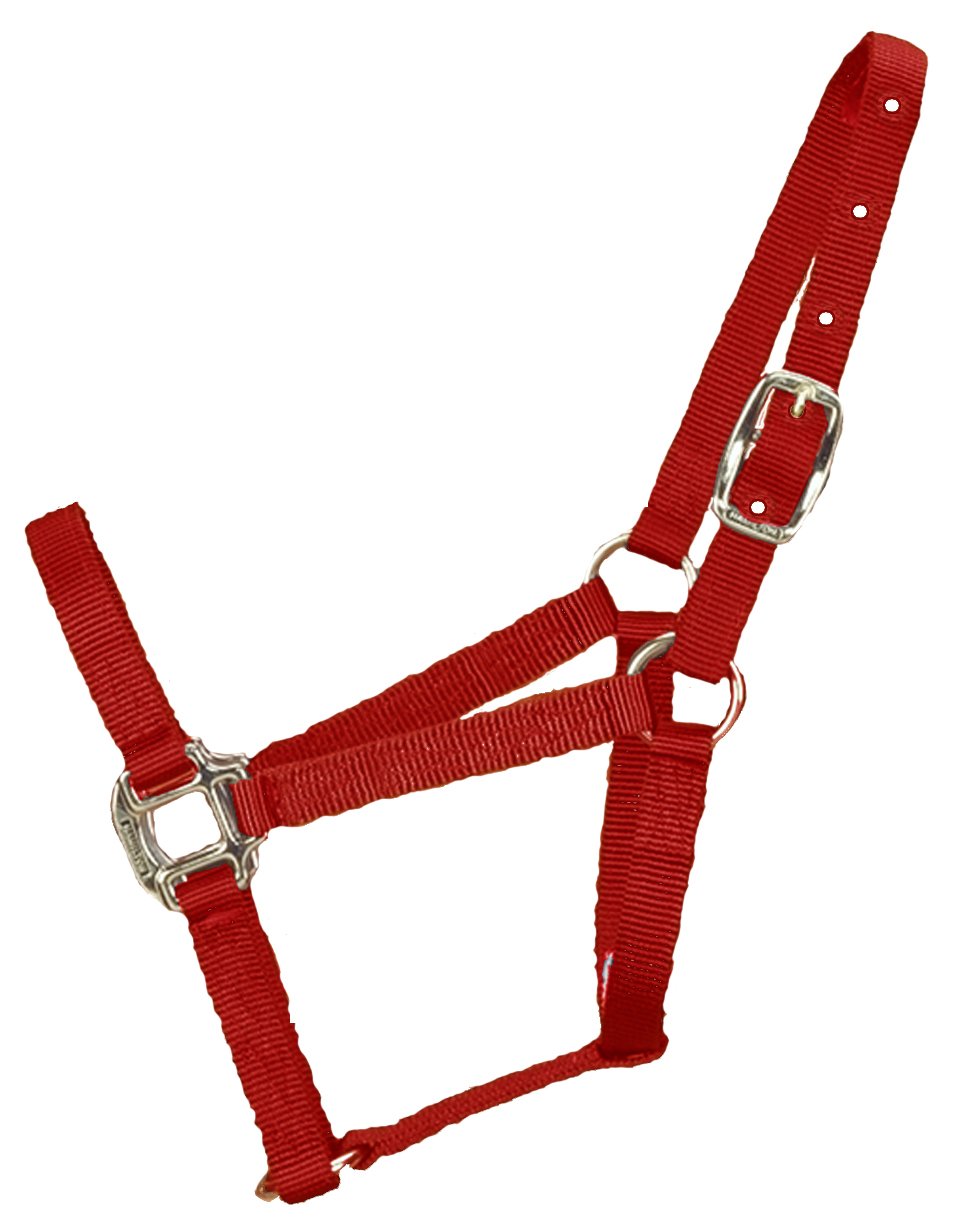 Hamilton Mini Horse Halter - Large