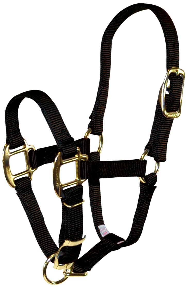 Hamilton Mini Horse Halter - Large