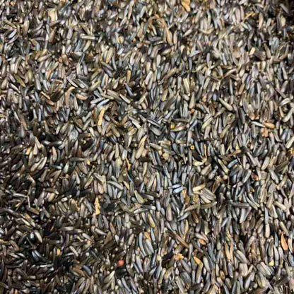 Nyjer Seed