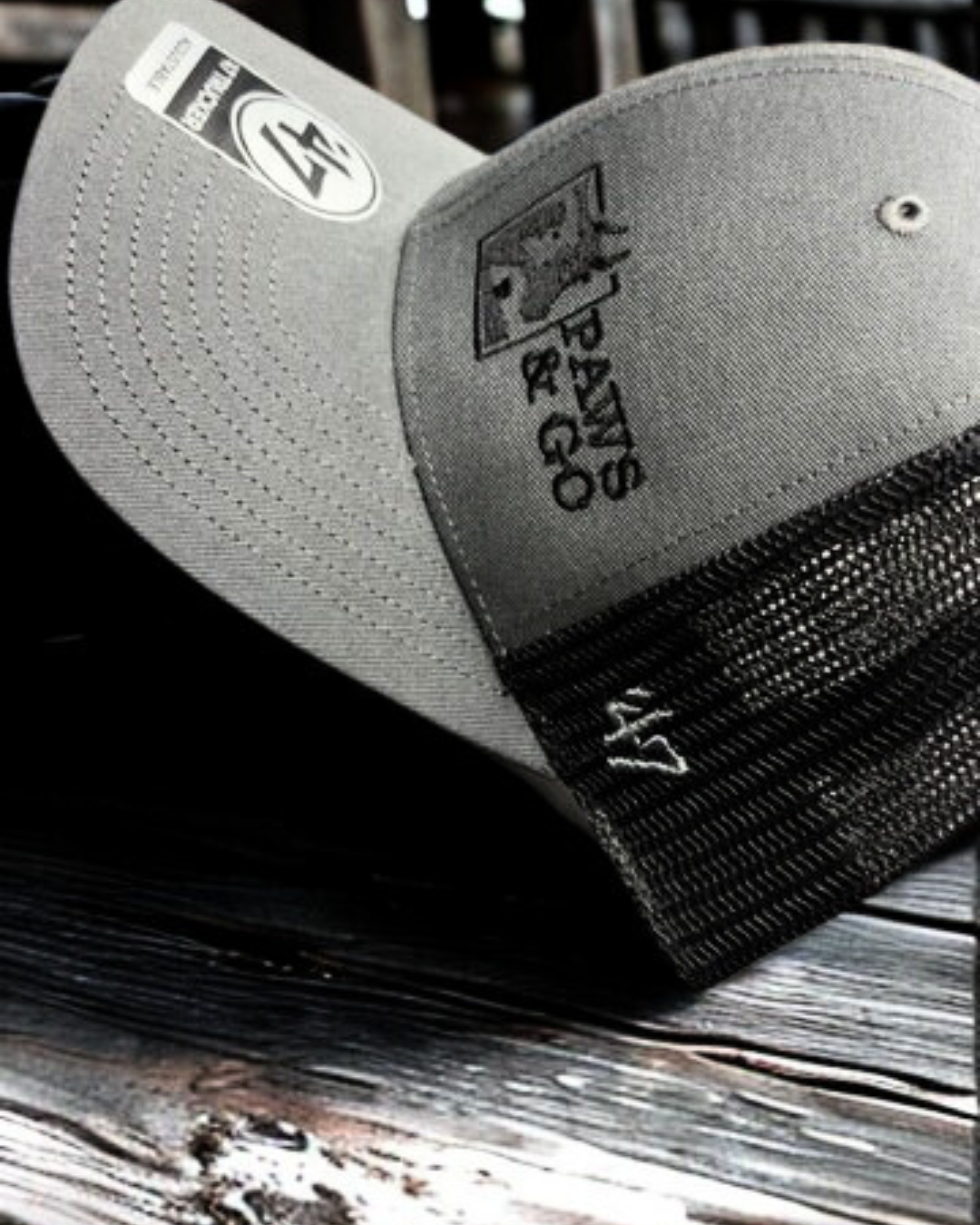Paws & Go Hat