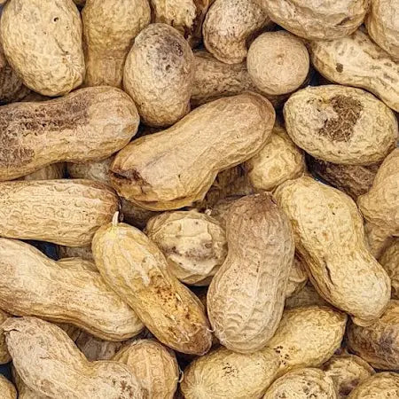 Peanuts Inshell - 1lb