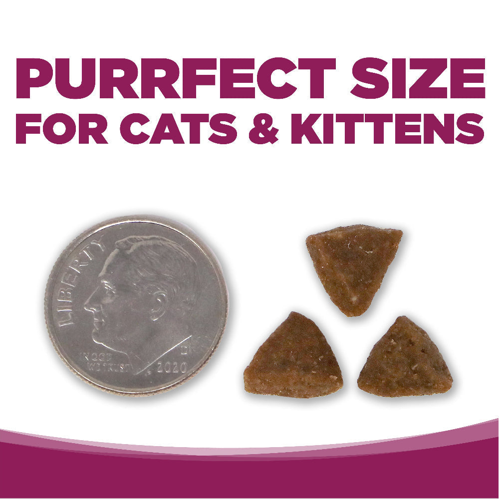 Cat & Kitten Chicken & Rice
