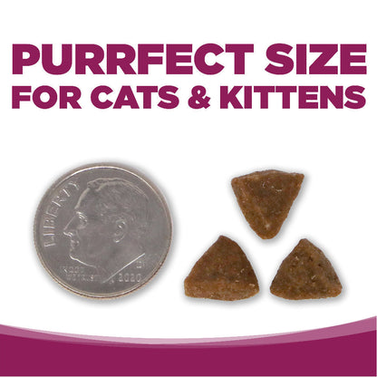 Cat & Kitten Chicken & Rice
