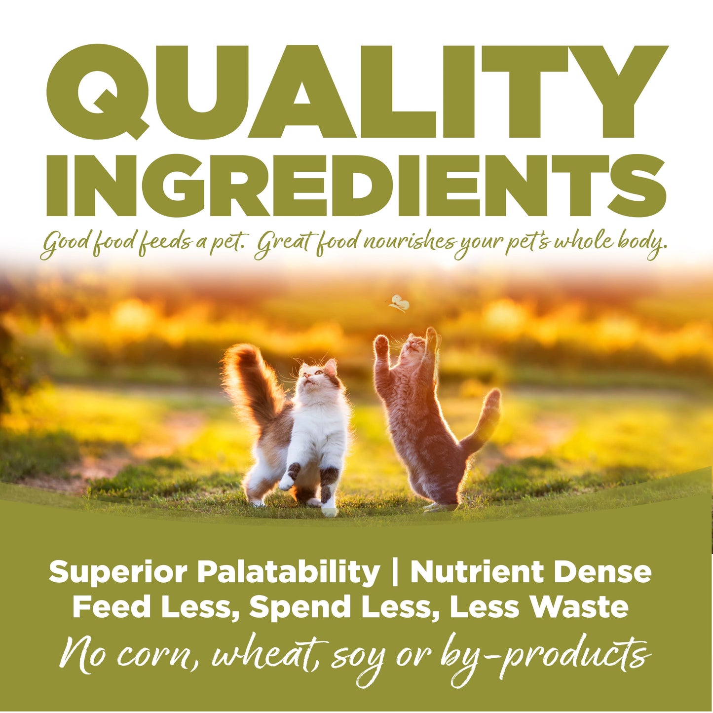 Senior & Weight Management Cat Food