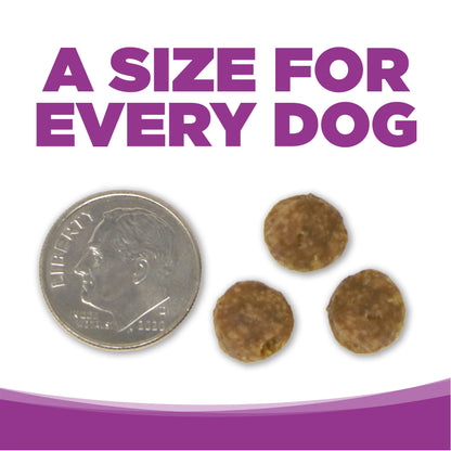 Grain Free Large Breed Puppy