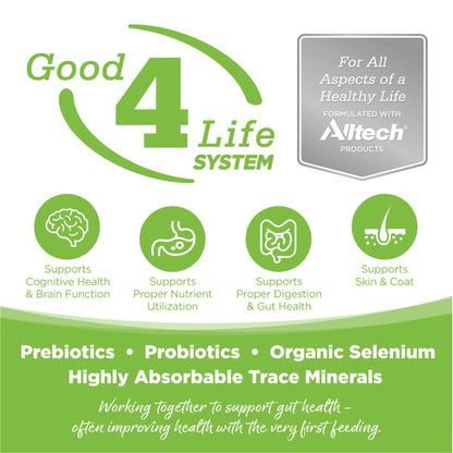 Grain Free Weight Management