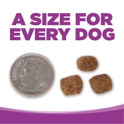 Large Breed Puppy