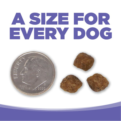 Small & Medium Breed Puppy
