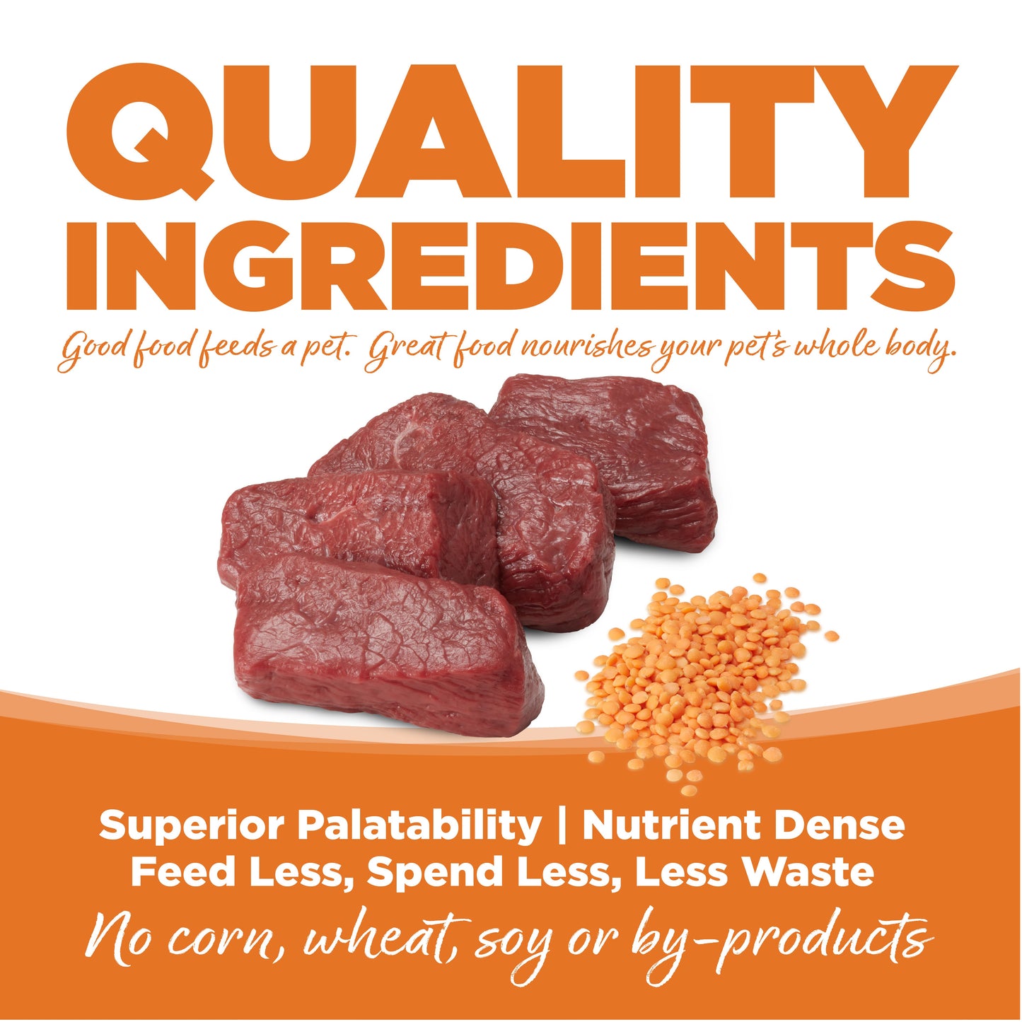 Grain Free Venison & Red Lentils