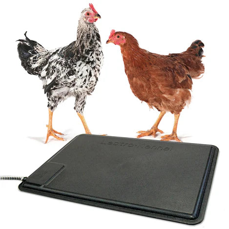 K&H Thermo-Chicken Heated Pad