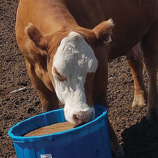 Cow Country Nutrition Basic Stress - 250lb